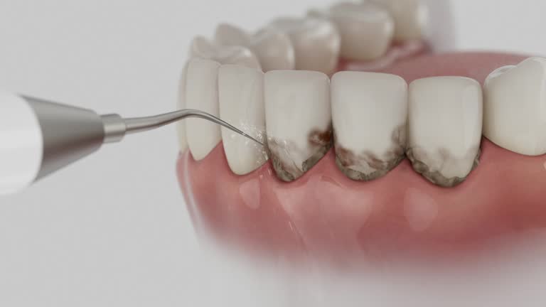Reliable Dental contractor in Greenville, VA by Dentist Open Now